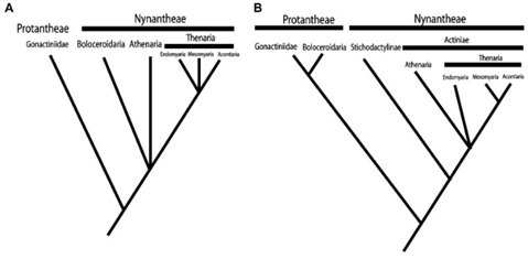 figure image